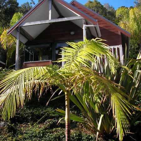 Bay Cabinz Motel Paihia Exteriör bild